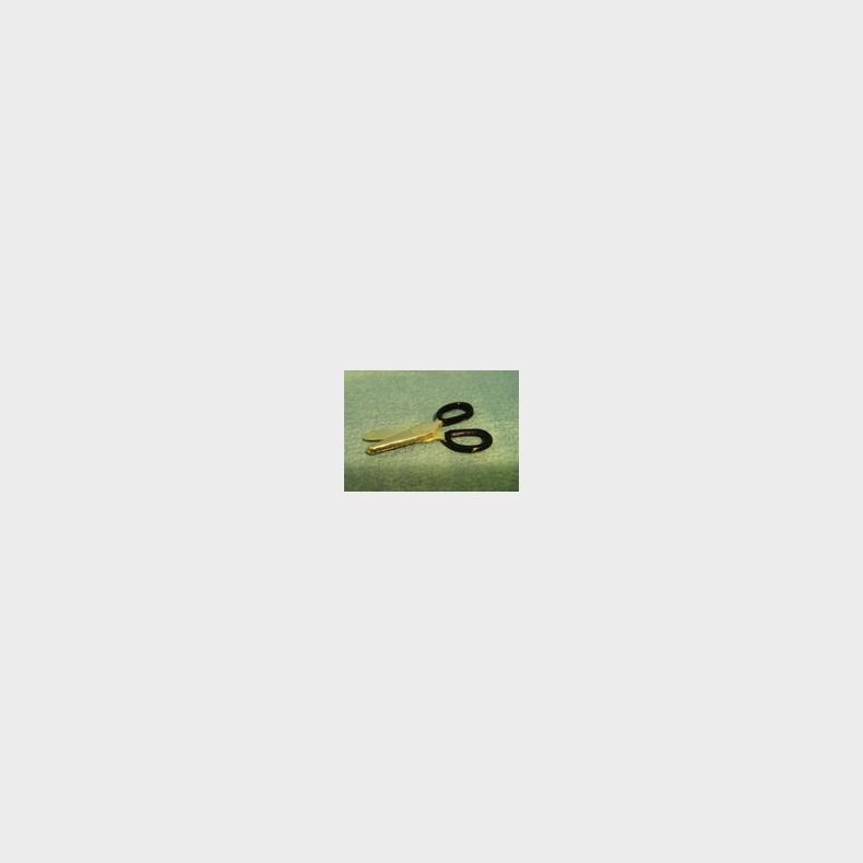 Skr�ddersaks