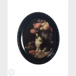 Foto af kat